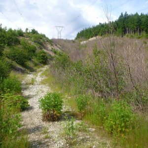 Powerline_Hill
