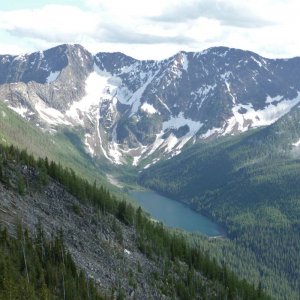 gray_cr_081