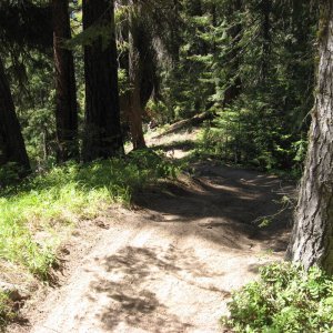 Chikamin trail - washington