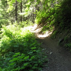 Chikamin trail    Washington