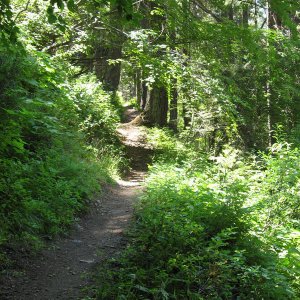 Chikamin trail