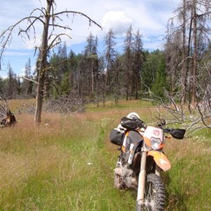 Cattle Trail on Green Lake Snowmobile Trail
