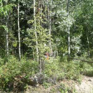 P10602321