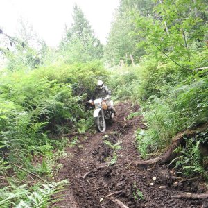 DSCF0098