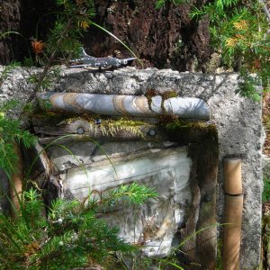 CP Air DC-6 Crash Site - 100 Mile House