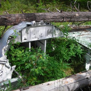 CP Air DC-6 Crash Site - 100 Mile House