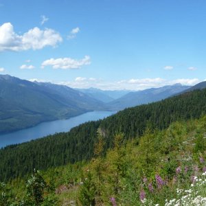 P1060311