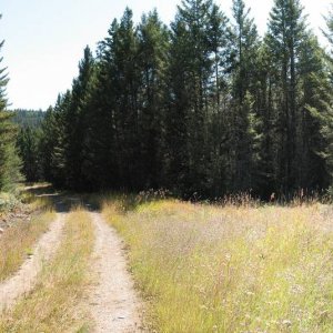 IMG_5332_pano