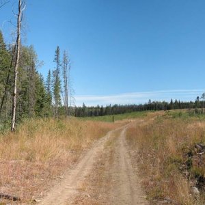 IMG_5335_pano