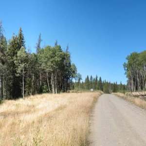 IMG_5337_pano