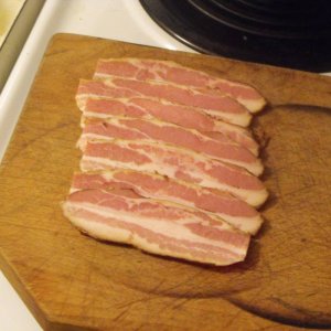 2010_1205bacon0007