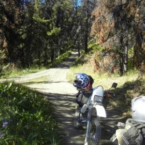 Mud Creek trails