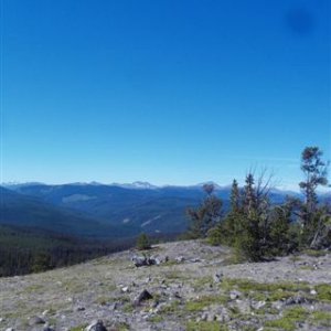 Mud Creek alpine