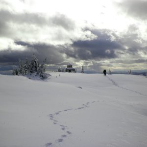 sugar mnt lookout