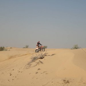Riding in Dubai