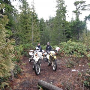 Rhododendron Lake Dec 18 2011