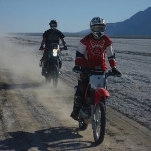 More 2012 baja winter photos