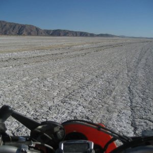 More 2012 baja winter photos