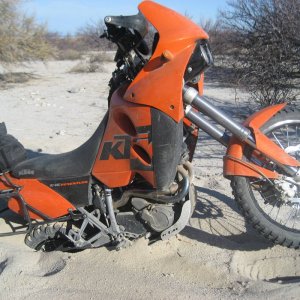 More 2012 baja winter photos