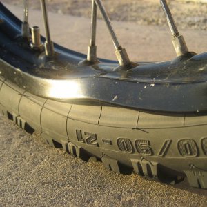 even more baja 2012 winter photos