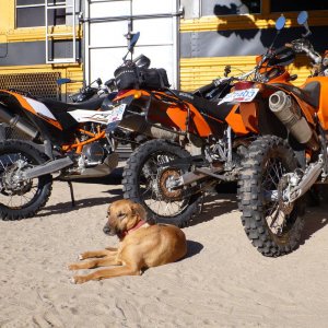 even more 2012 baja winter photos