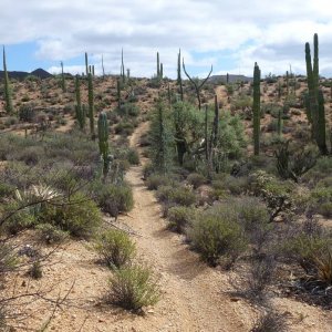 baja_2011_249