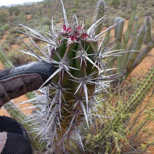 baja_2011_252