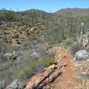 baja2012_407