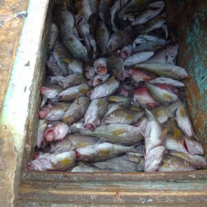 baja_2011_409