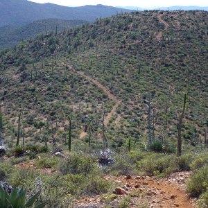 baja_2011_459