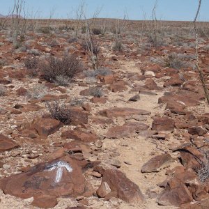 baja2012_583