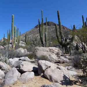baja_2011_566