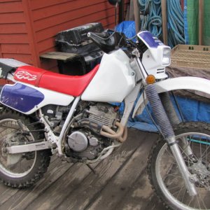 XR 250 Project Bike