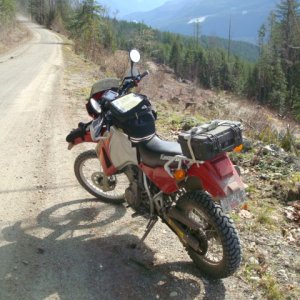 Spring Newbie Ride