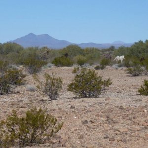 P1000787