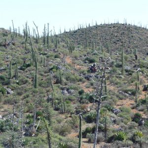 baja2012_396