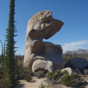 P2151314