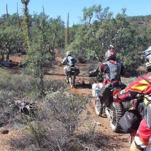 baja_2011_448