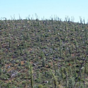 baja_2011_457