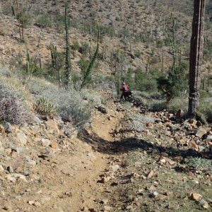 baja_2011_312