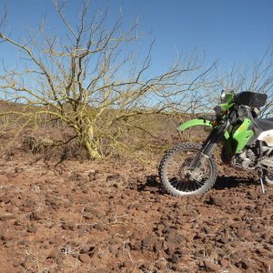 baja_2011_159