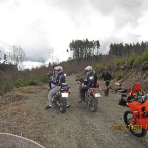Orca preride 2012