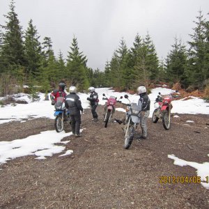 Orca preride 2012