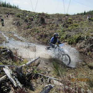 Orca preride 2012