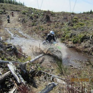 Orca preride 2012