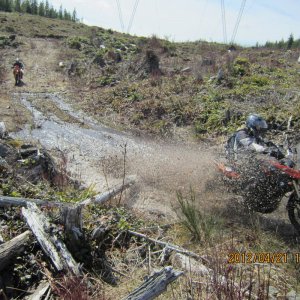 Orca preride 2012