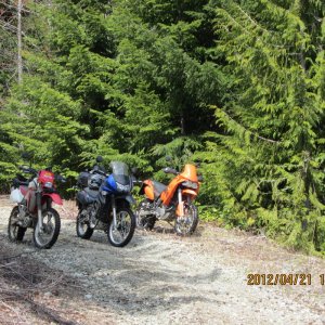 Orca preride 2012
