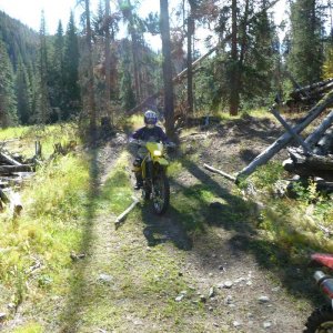 Windy_Ridge_2011_029