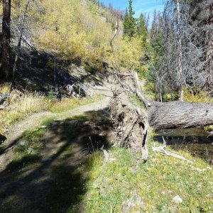 Windy_Ridge_2011_030