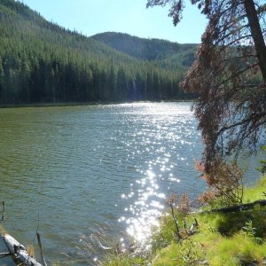 Windy_Ridge_2011_036